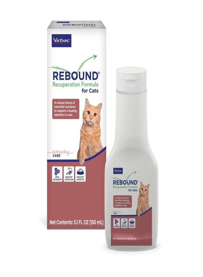 Virbac Rebound Recuperation Formula for Cats, Clear - Image 1